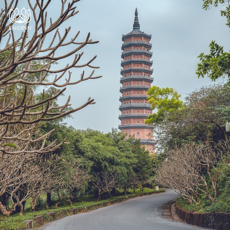 Tổng quan