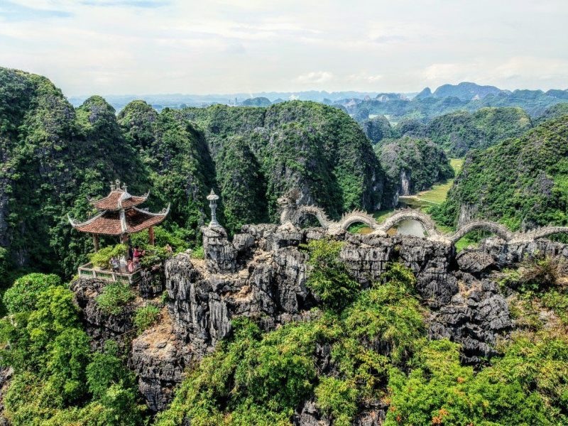 Tổng quan