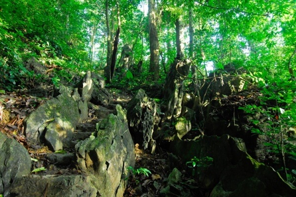 Tổng quan