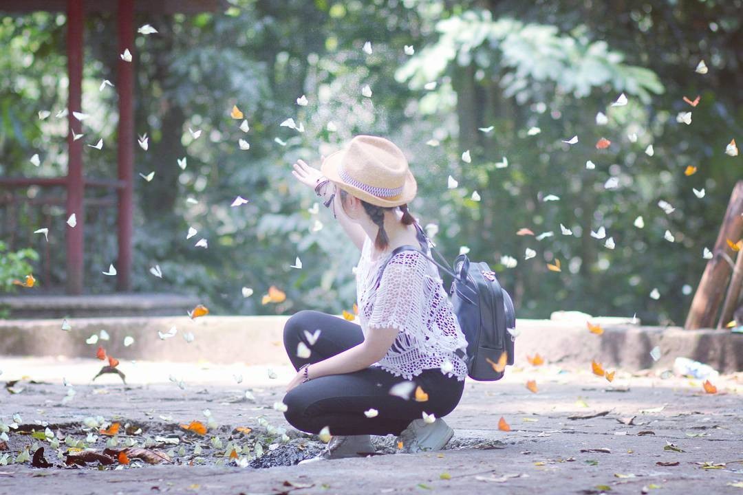 Ảnh đẹp check in