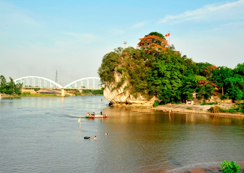Tổng hợp