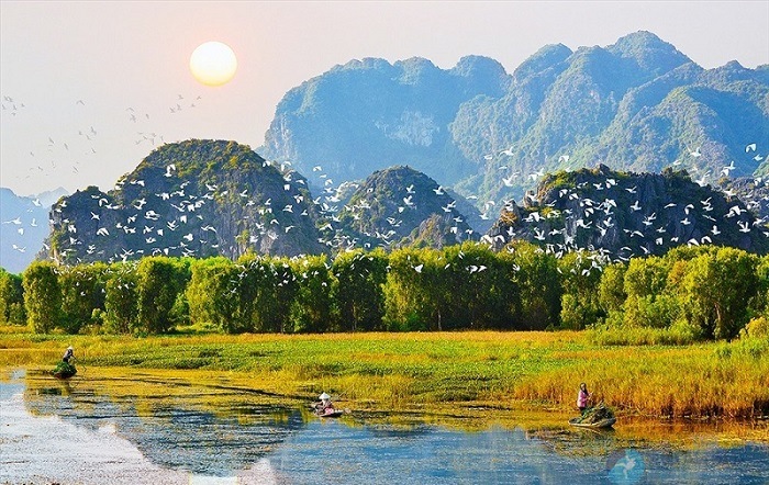 Tổng quan