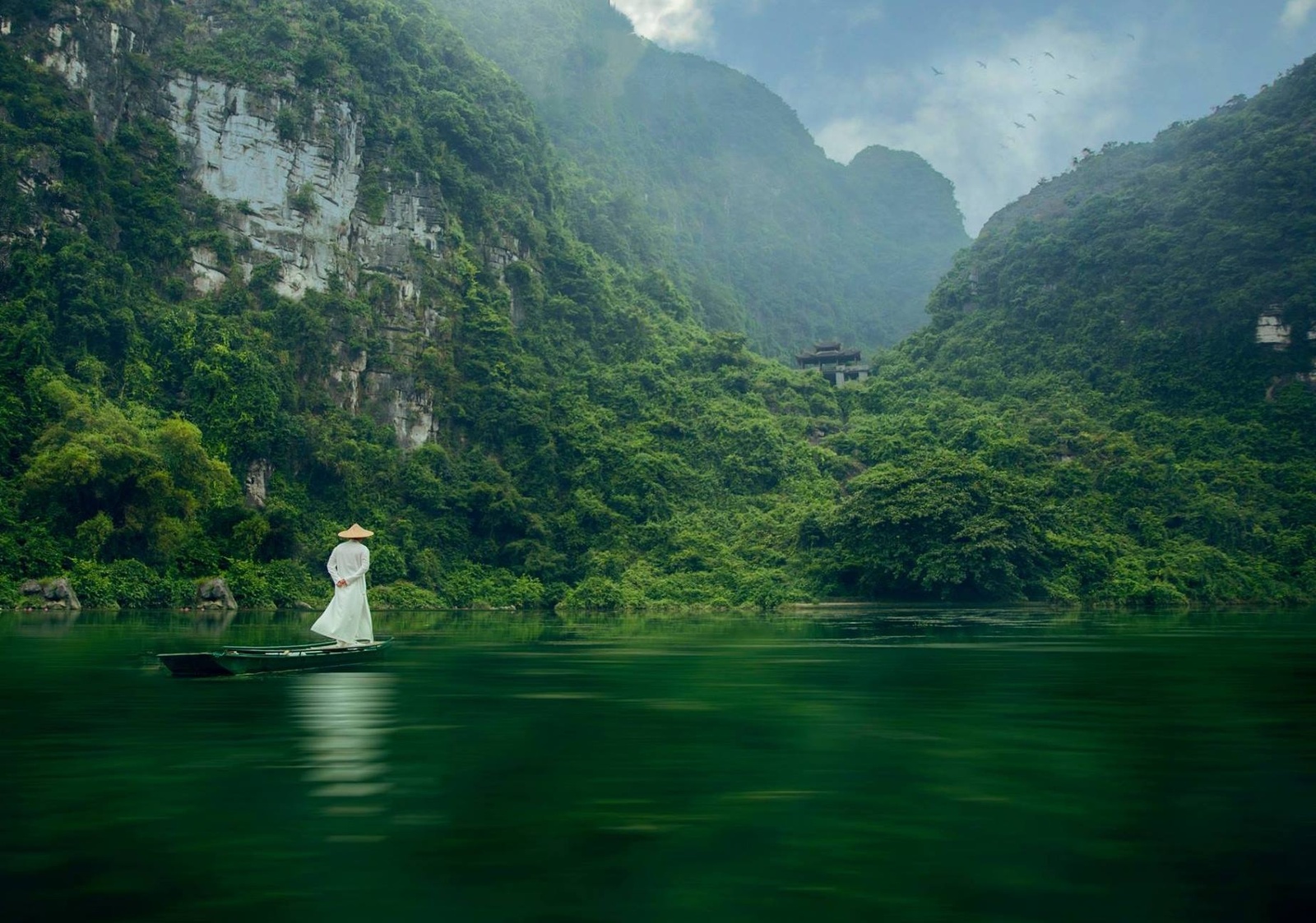 Tổng quan