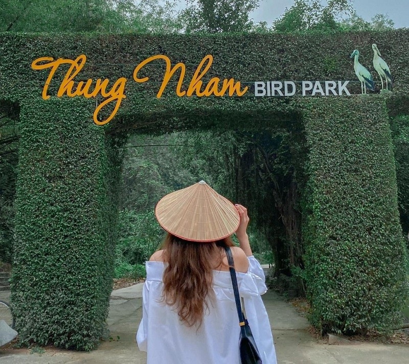 Tổng quan