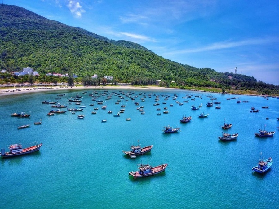 Tổng quan