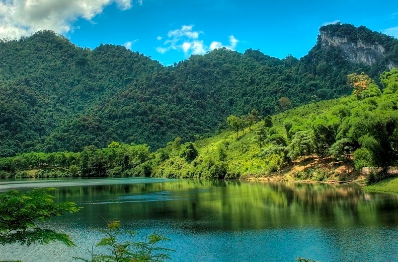 Tổng quan