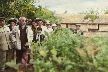 Tổng quan