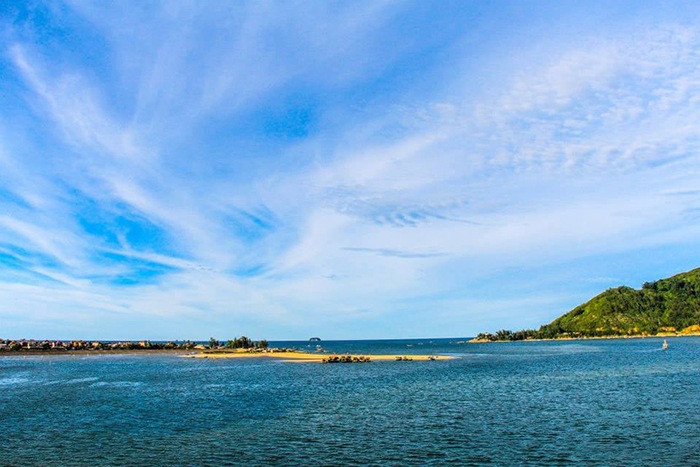Tổng quan