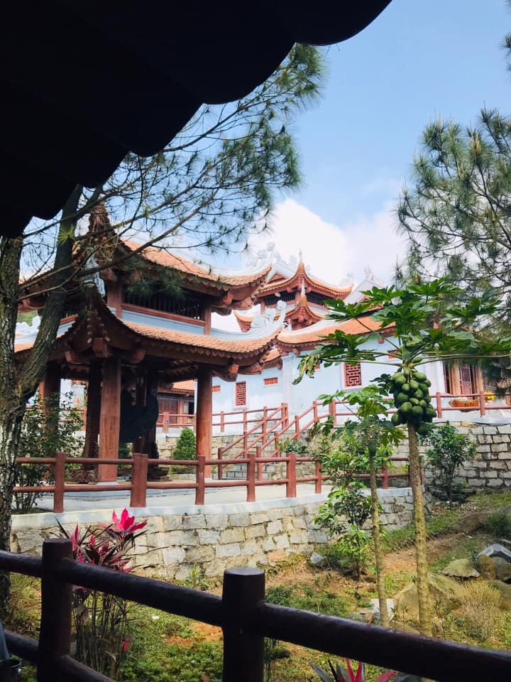 Tổng quan
