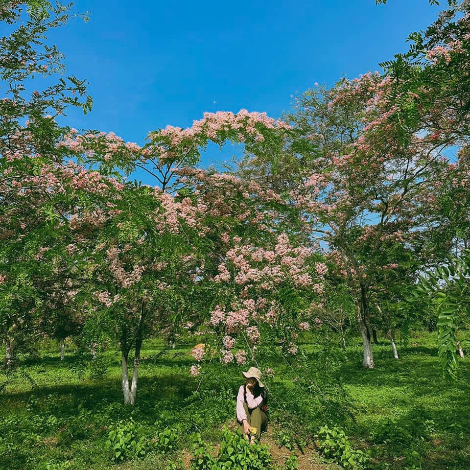 Ảnh đẹp check in