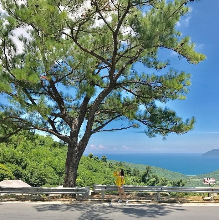 Ảnh đẹp check in