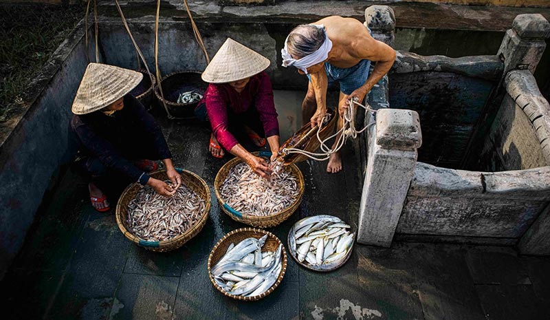 Tổng quan
