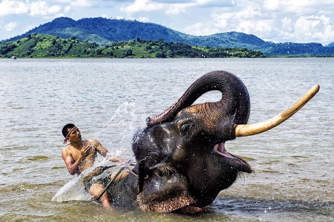 Tổng quan