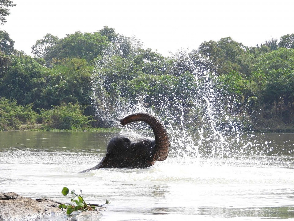 Tổng quan