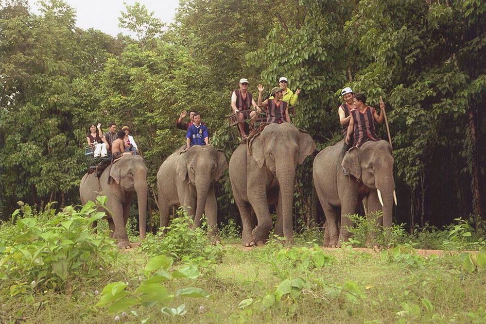 Ảnh đẹp check in