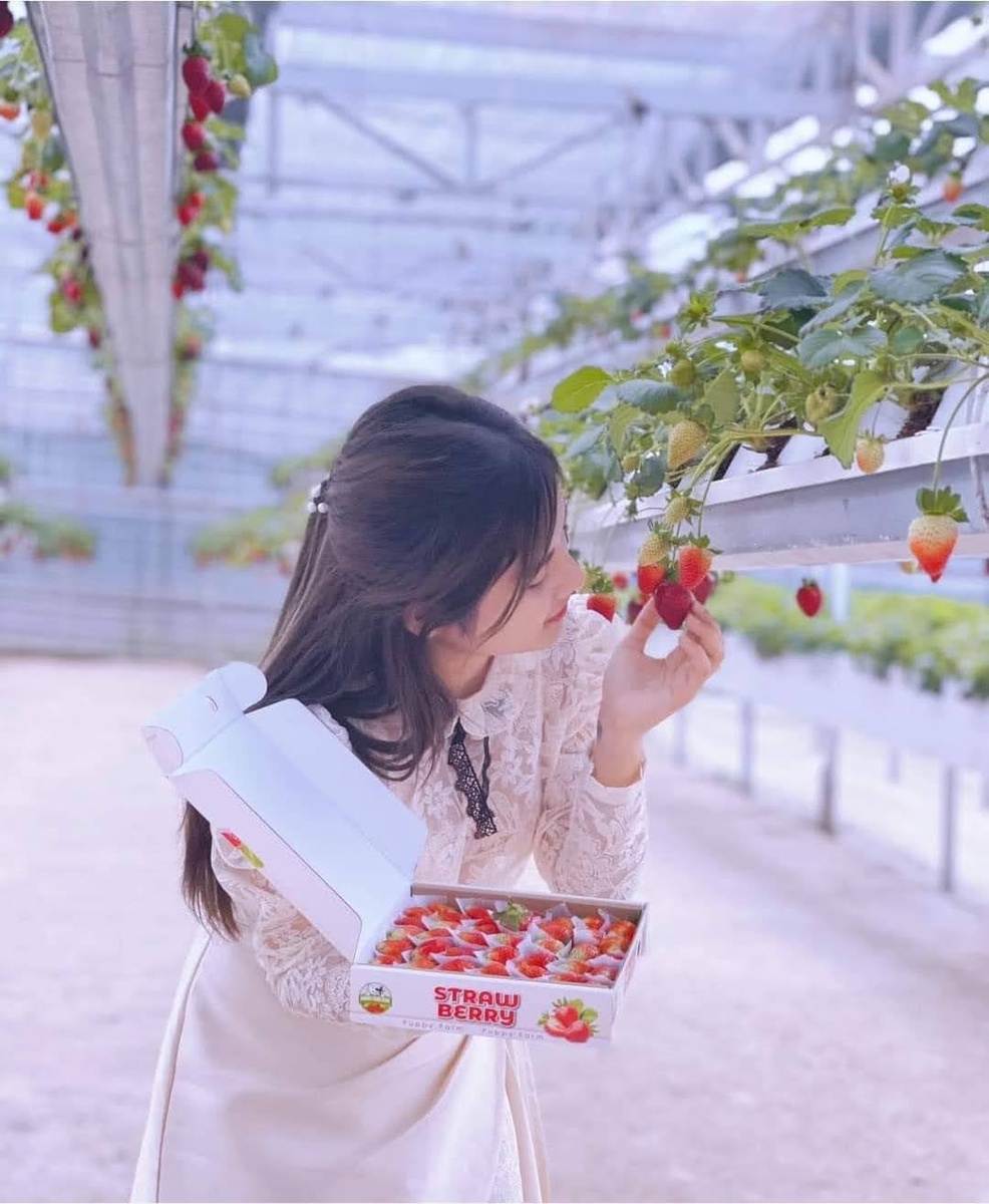Ảnh đẹp check in