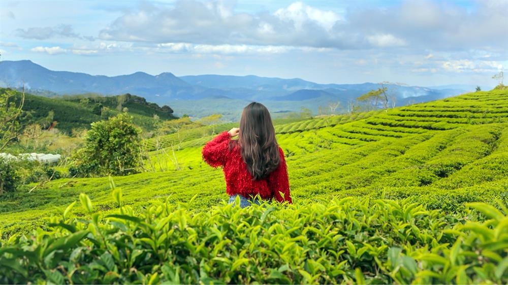 Ảnh lưu niệm