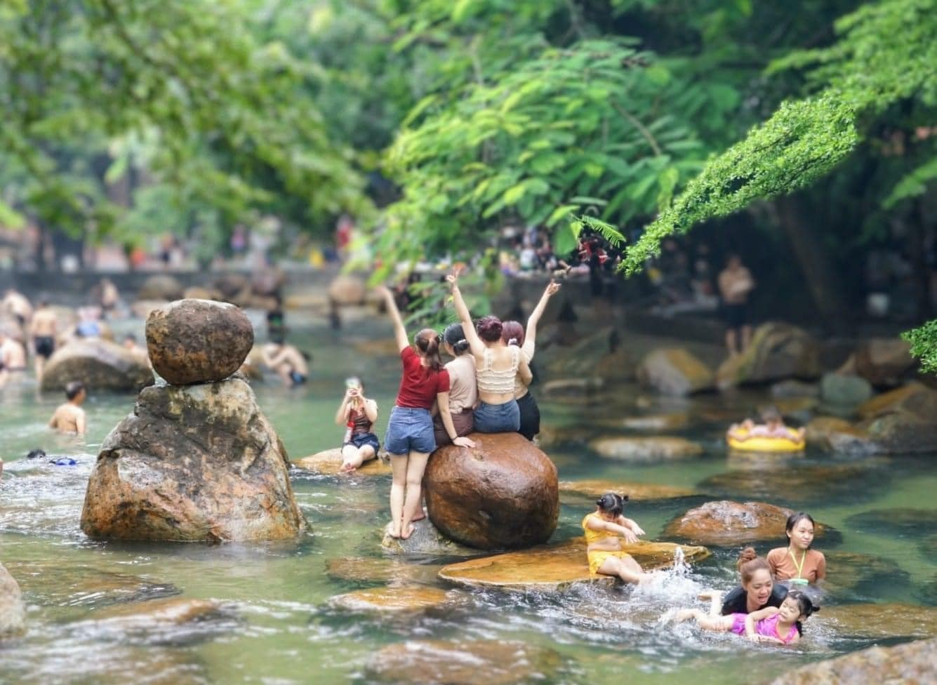 Tổng quan