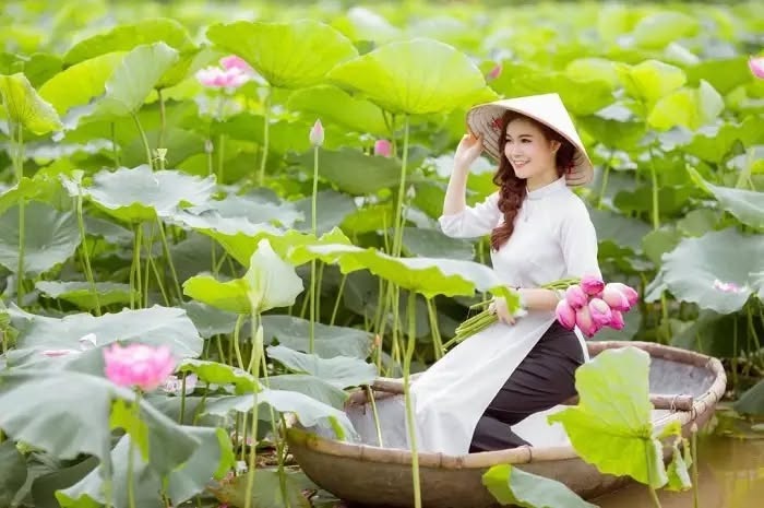 Ảnh đẹp check in