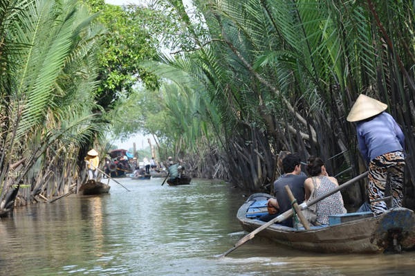 Tổng quan