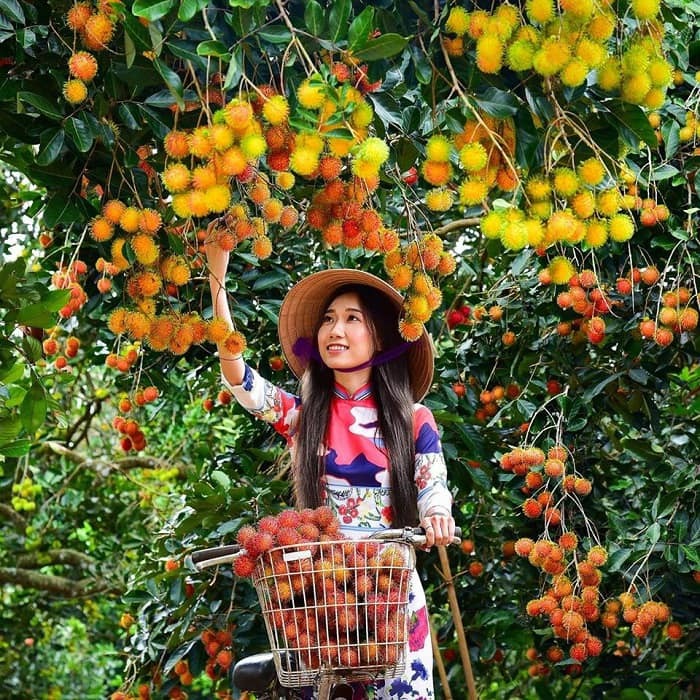 Ảnh đẹp check in