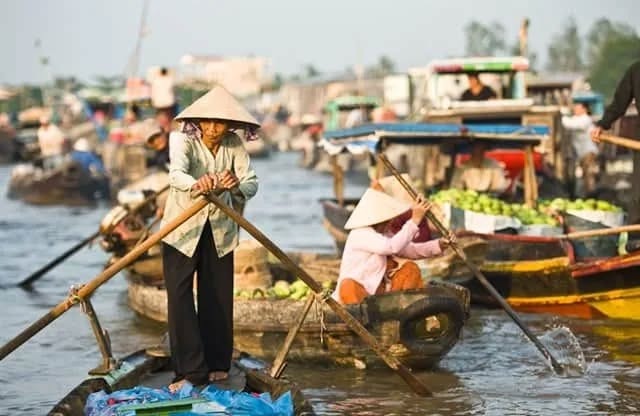 Tổng quan