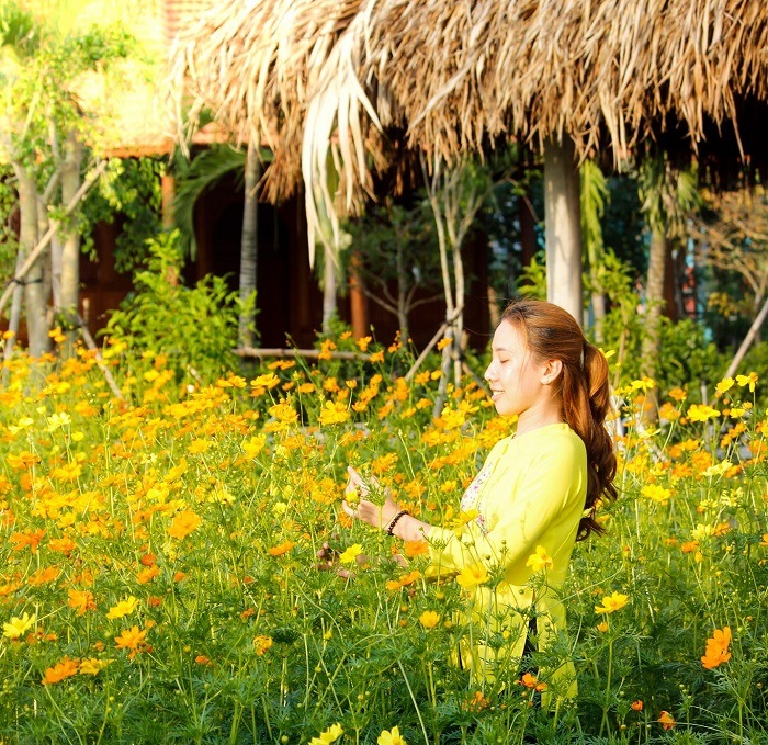Ảnh đẹp check in