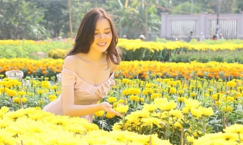 Ảnh đẹp check in