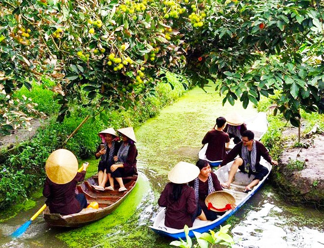 Tổng quan