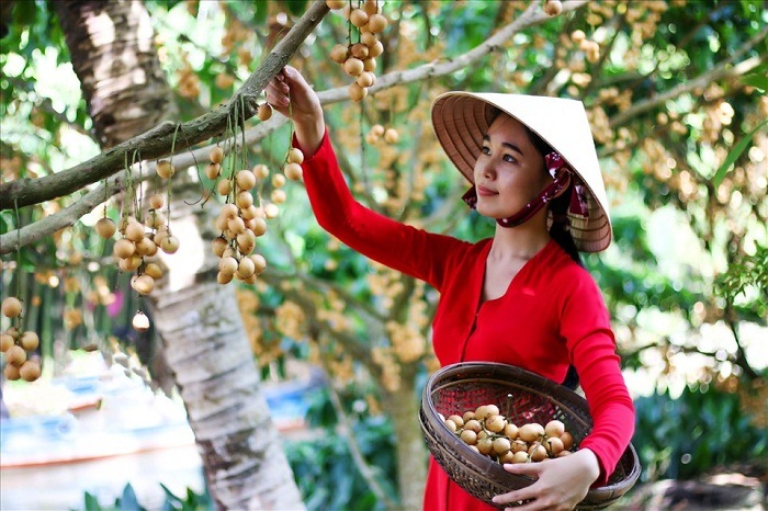 Ảnh đẹp check in
