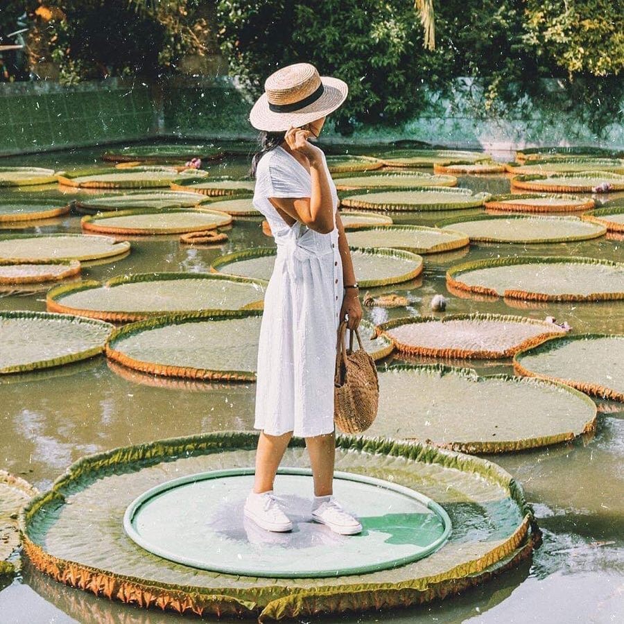 Ảnh đẹp check in