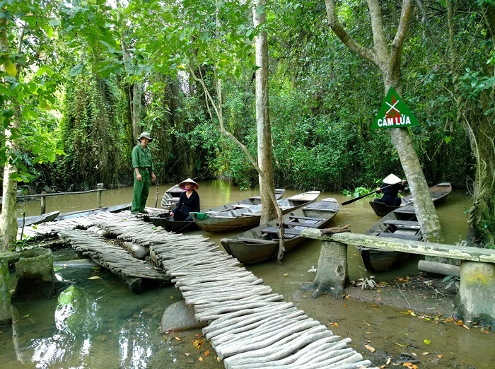 Tổng quan
