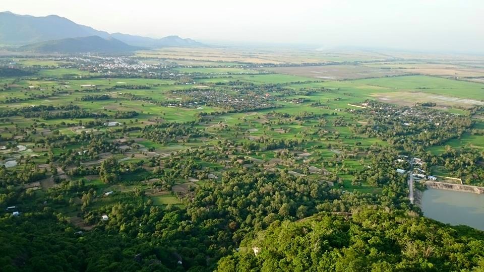 Tổng quan