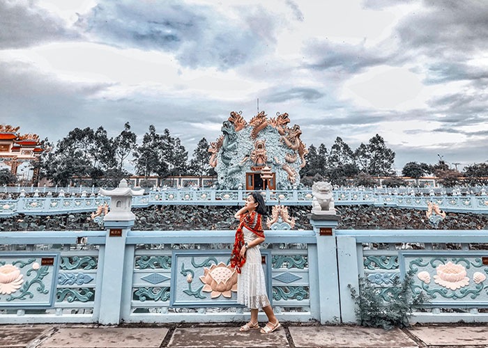 Tổng quan