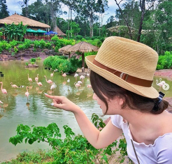 Tổng quan