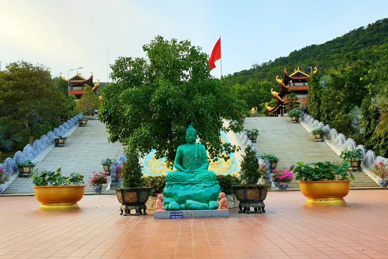Tổng quan