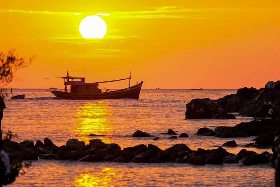 Tổng quan
