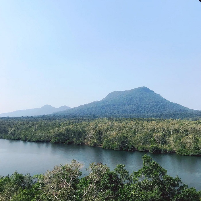 Tổng quan