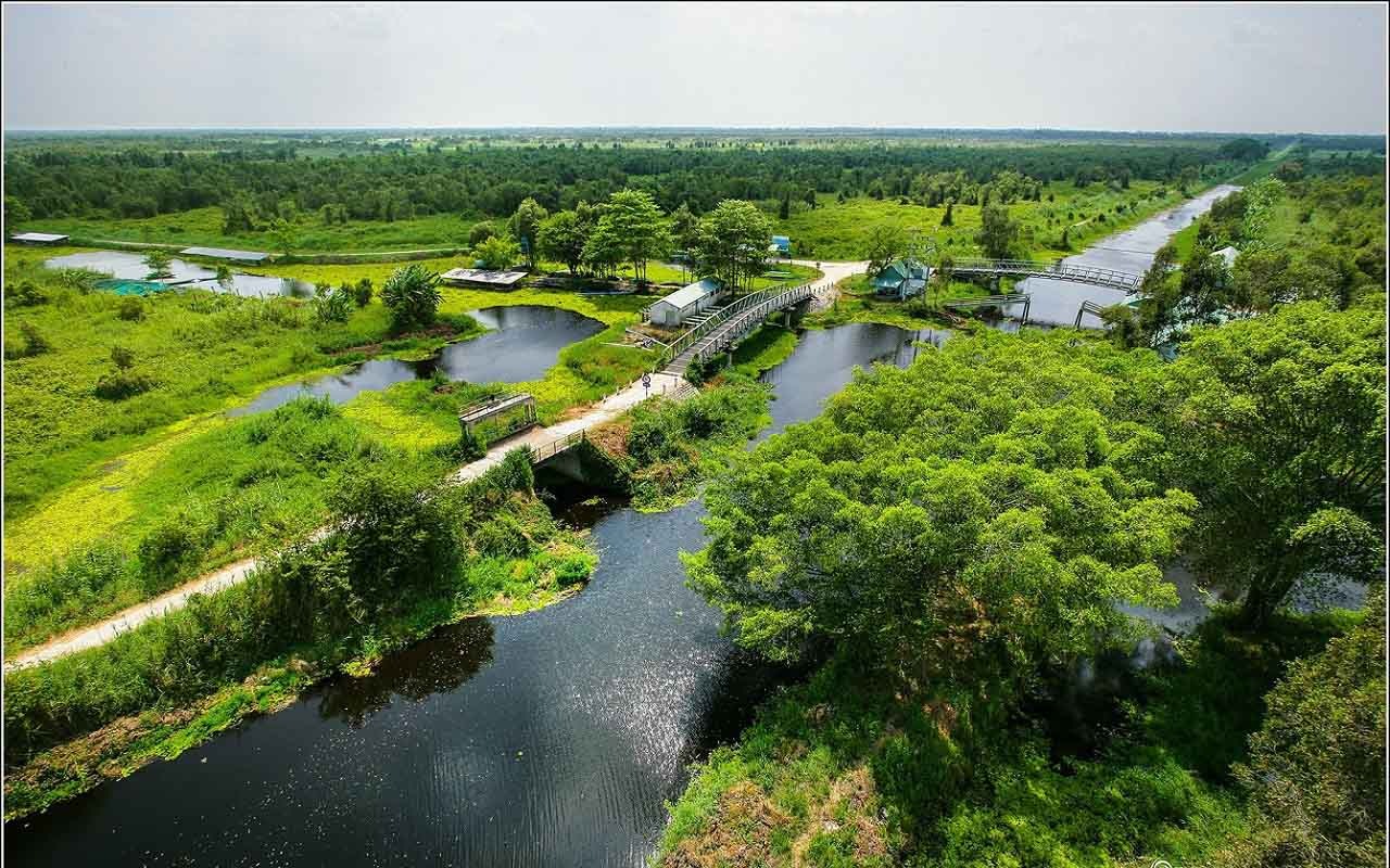 Tổng quan