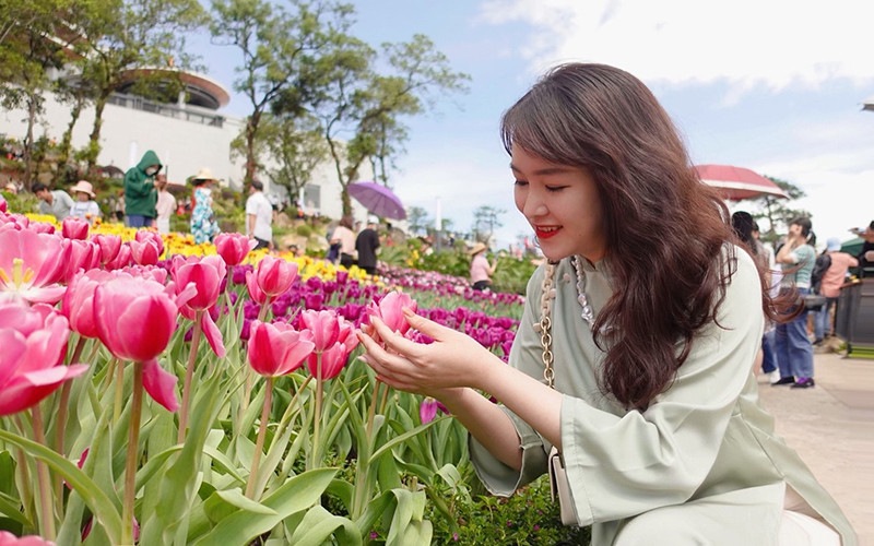 Ảnh đẹp check in