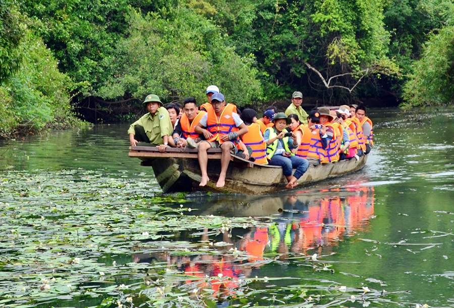 Tổng quan