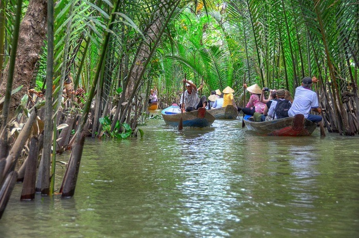 Tổng quan