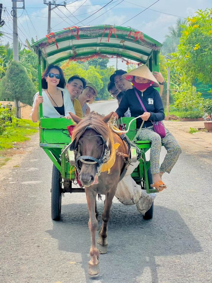 Tổng quan