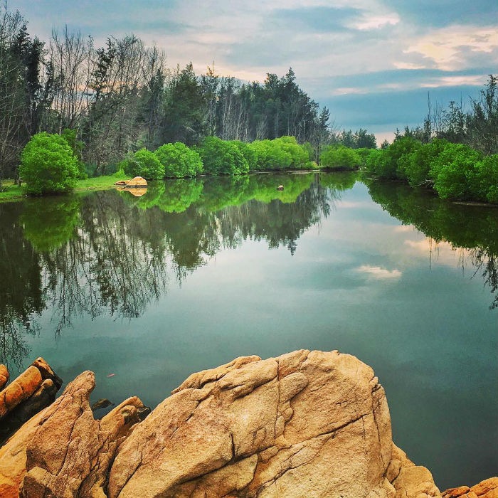 Ảnh lưu niệm
