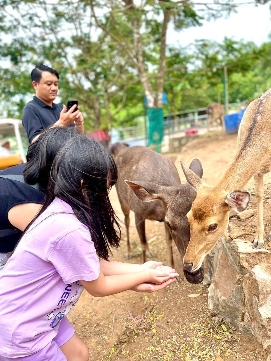 Ảnh lưu niệm