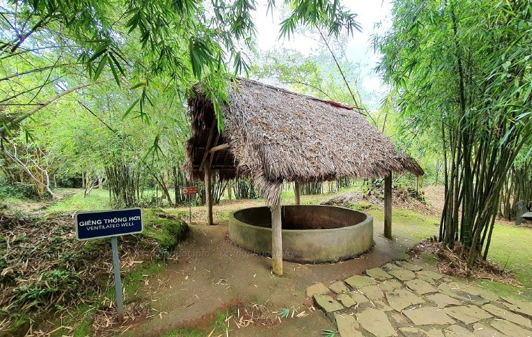 Tổng quan
