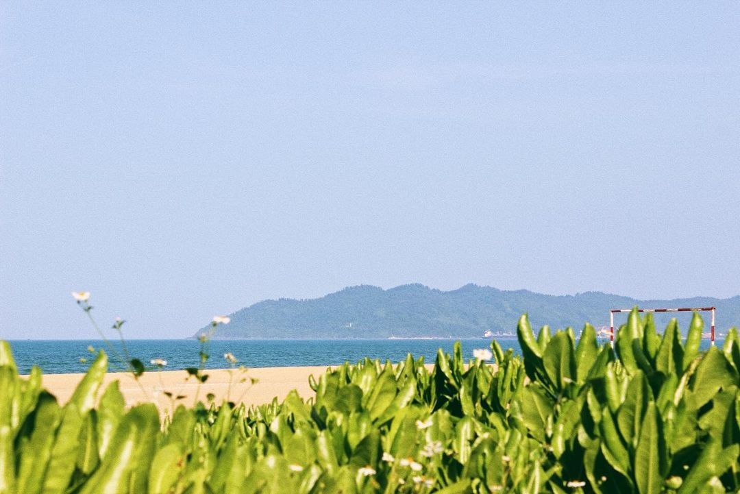 Tổng quan