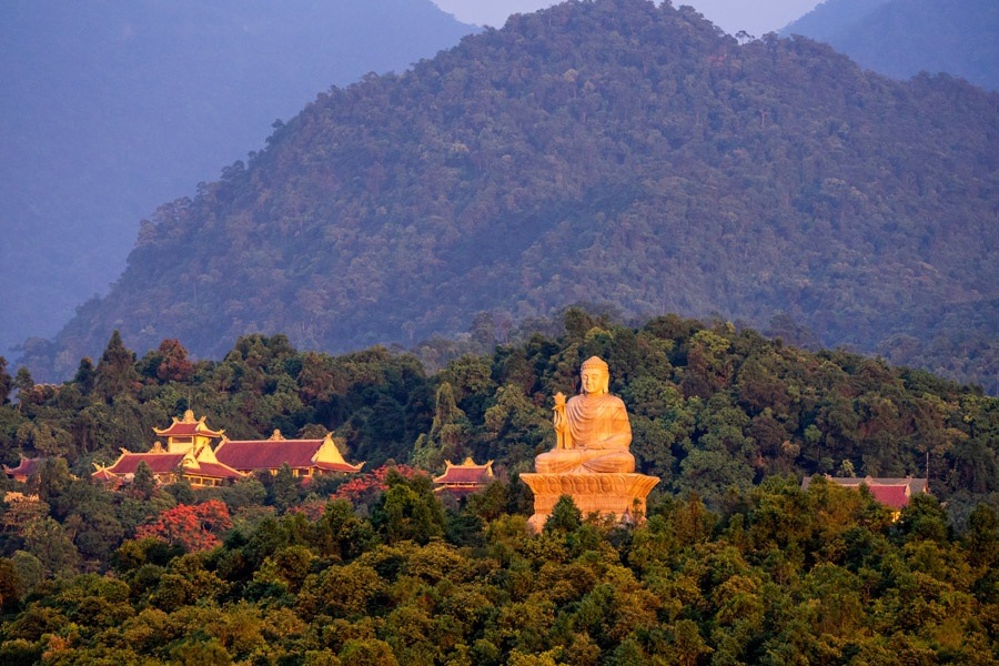 Tổng quan
