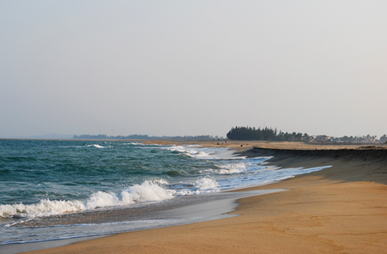Tổng quan