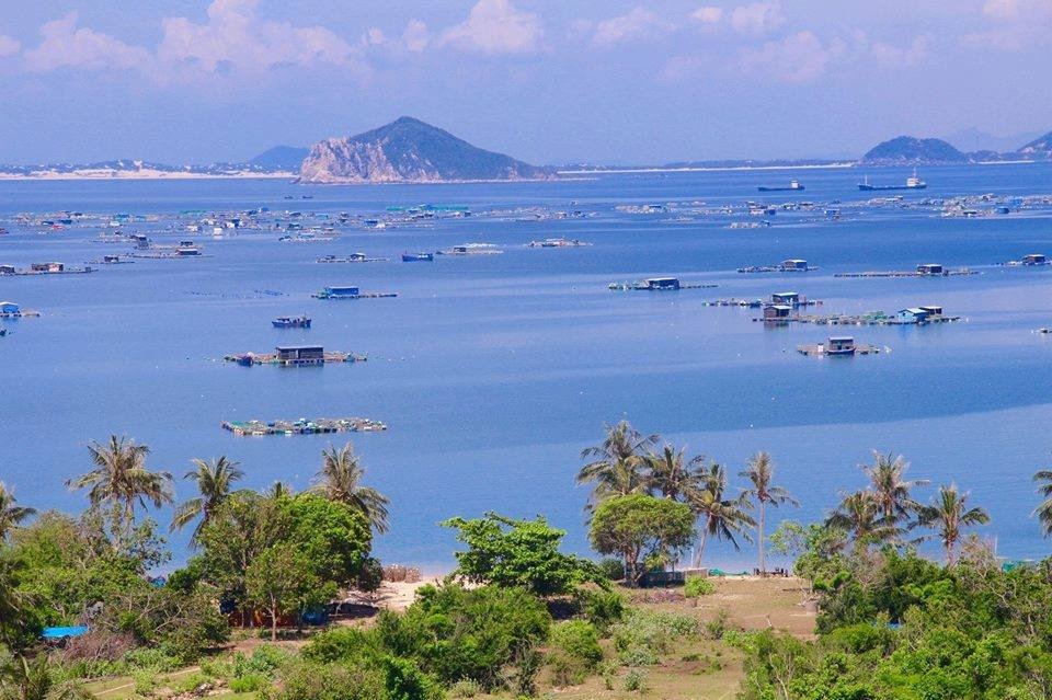 Tổng quan